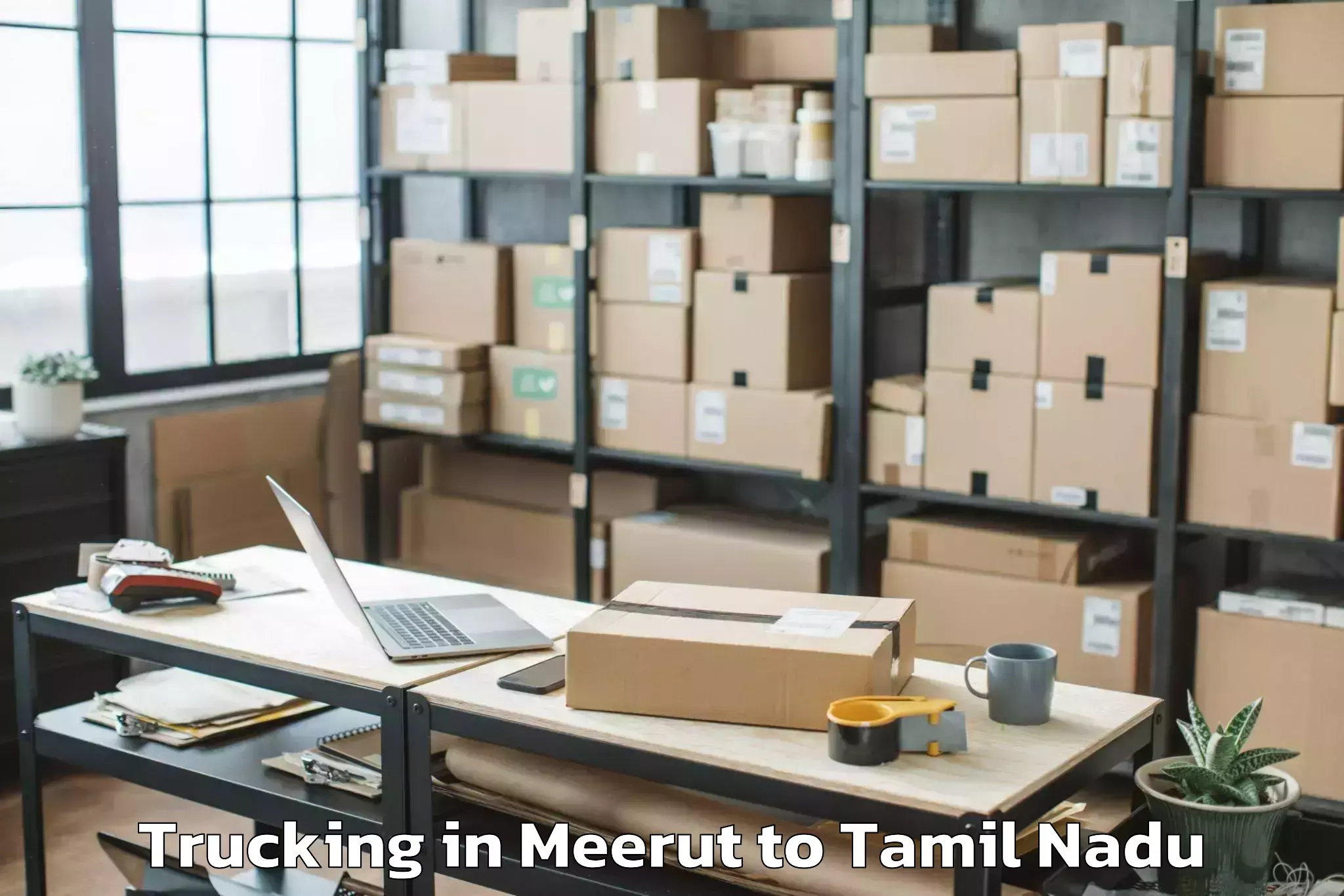 Book Meerut to Devakottai Trucking Online